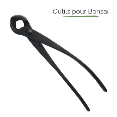 Outils pour Bonsai